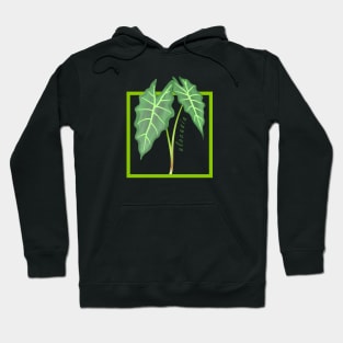 Alocasia Houseplant Leaves Hoodie